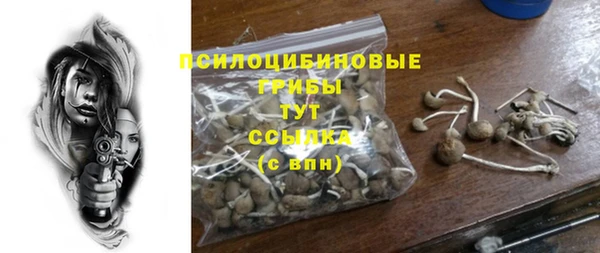 амф Белокуриха