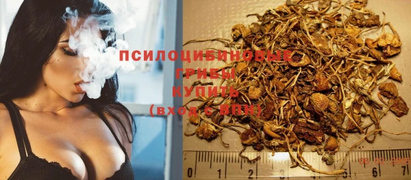 крисы Беломорск