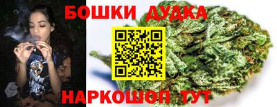 стаф Канаш