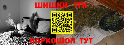стаф Камышлов