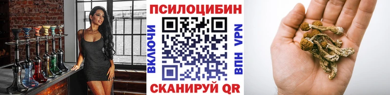 Галлюциногенные грибы Psilocybe  OMG ССЫЛКА  Кстово 